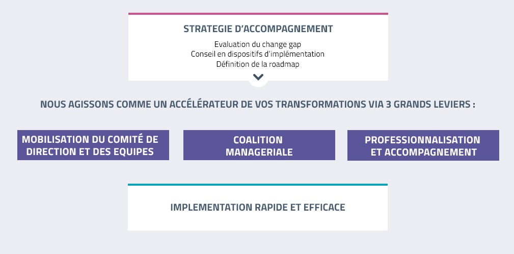 Accompagner les transformations