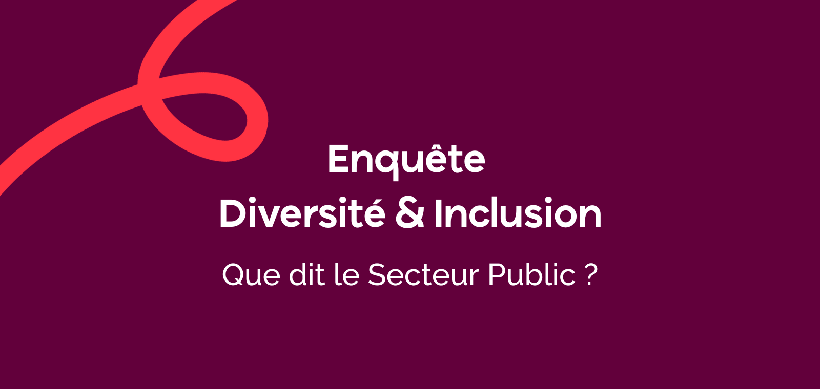 Enquête Diversité & Inclusion : Que dit le Secteur Public ?